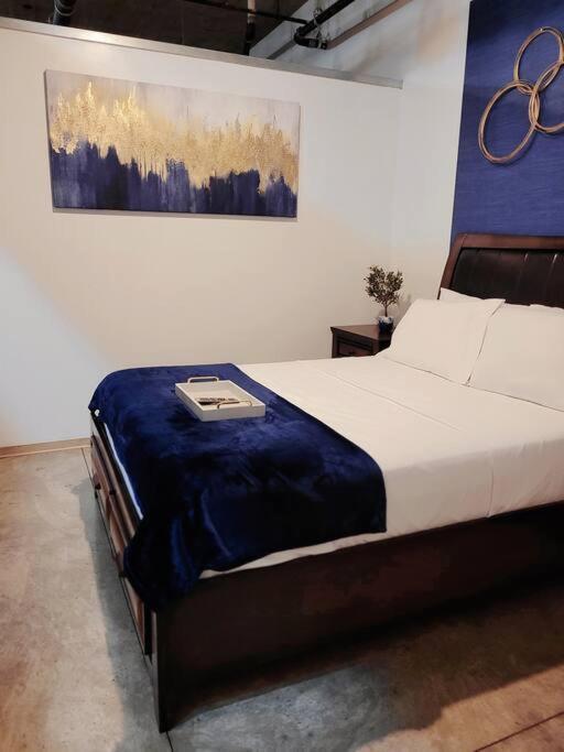 Staycation City Loft Free Gated Parking Saint-Louis Extérieur photo